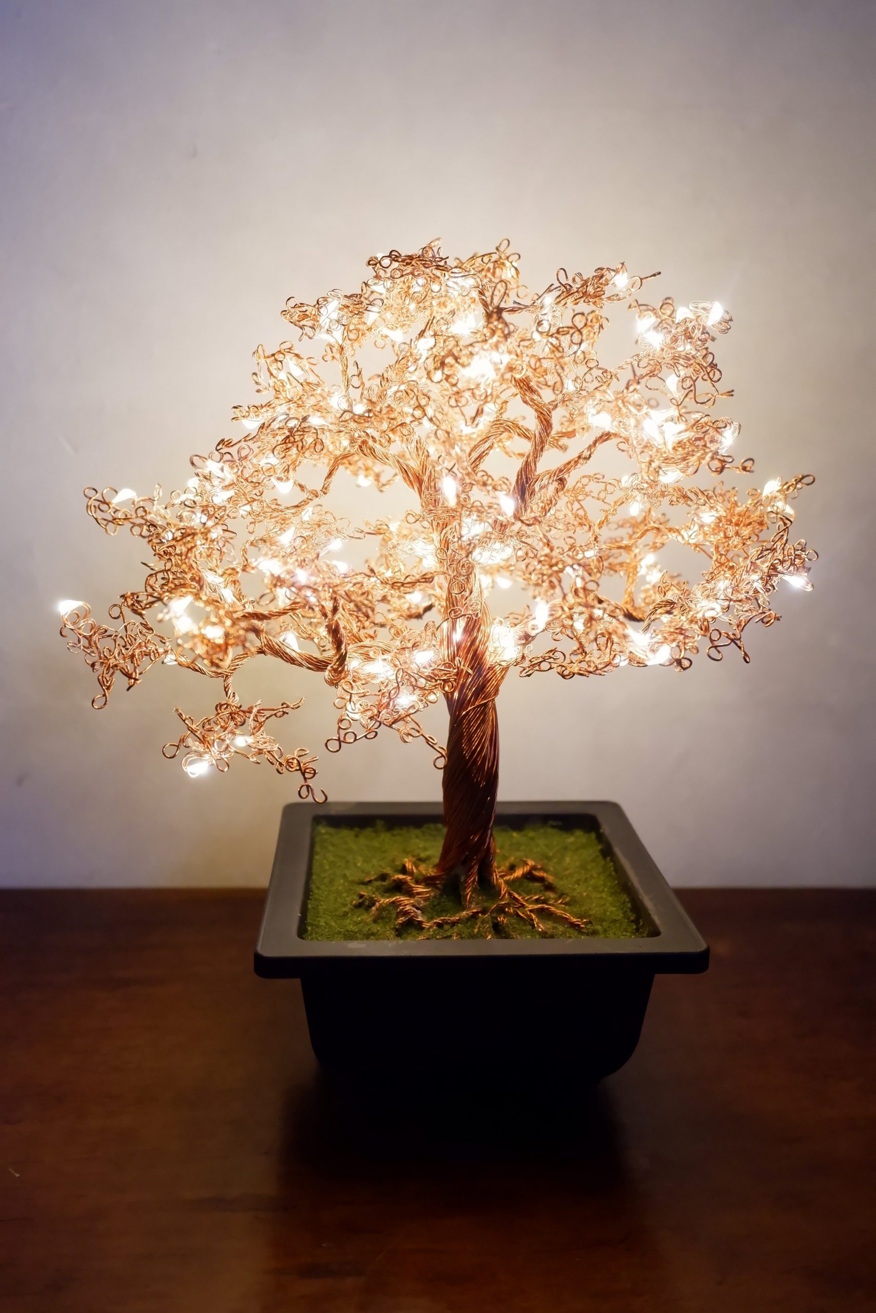 Wire Art Copper Bonsai Tree - Oak Tree